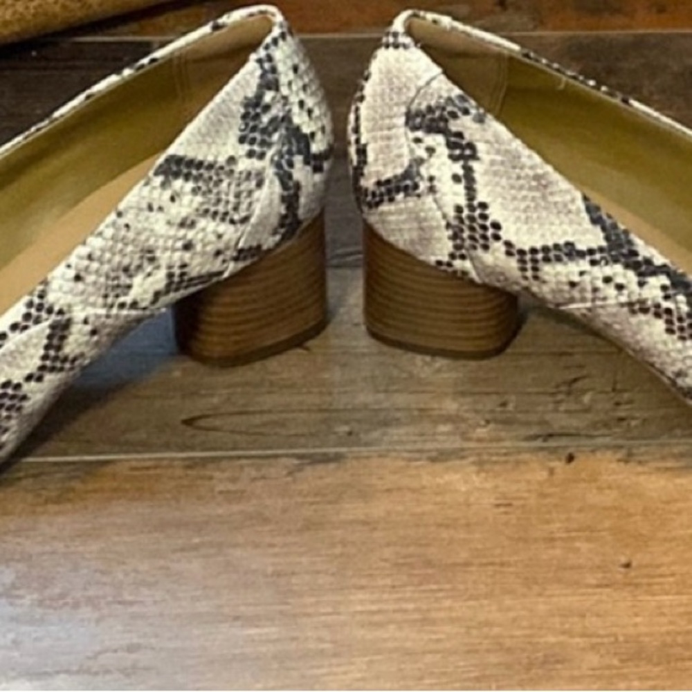 Clark Heels - Picture 7 of 7